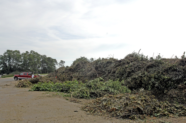 Large piles of brush cuased by Hurricane Irene at the jJackson Avenue transfer in Hampton Bays.