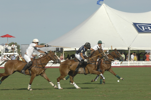 White Birch and Heathcote vyed for the Waterbury Cup on Saturday.