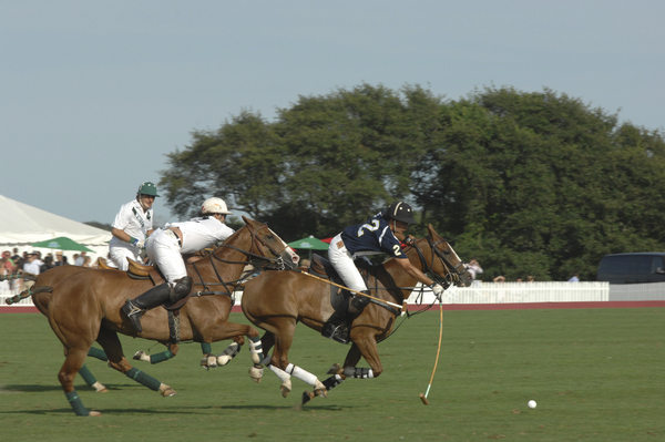 White Birch and Heathcote vyed for the Waterbury Cup on Saturday.