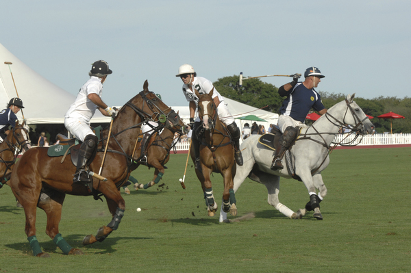 White Birch and Heathcote vyed for the Waterbury Cup on Saturday.