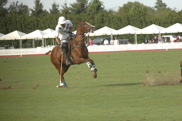 White Birch and Heathcote vyed for the Waterbury Cup on Saturday.