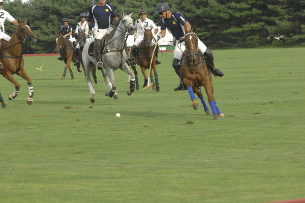 White Birch and Heathcote vyed for the Waterbury Cup on Saturday.