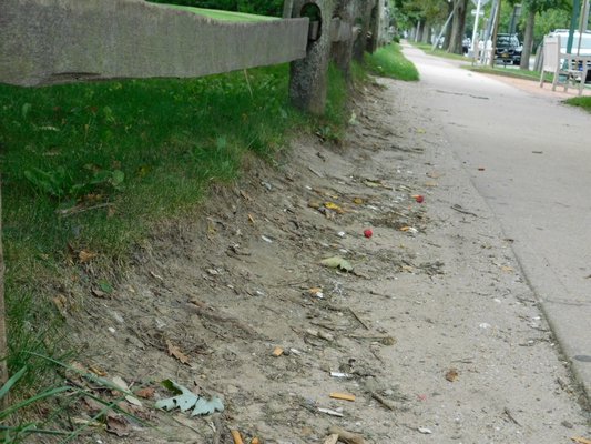 Cigarette butts found throughout the Village of East Hampton.  ELIZABETH VESPE