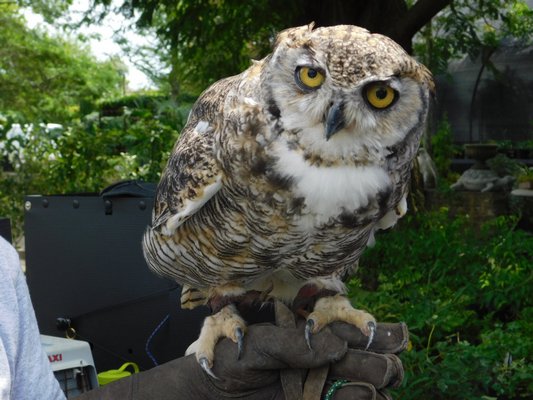  environmental educator