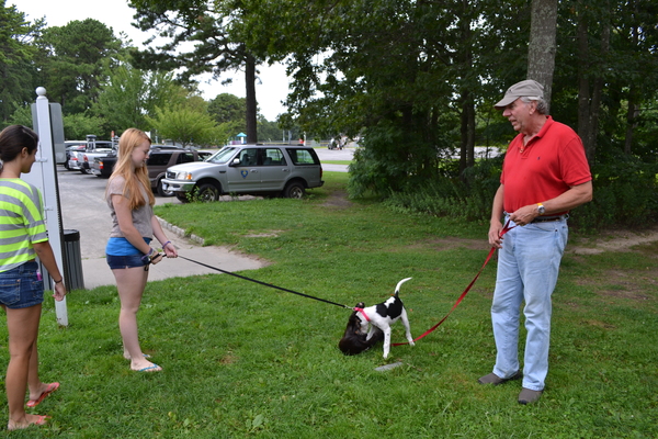  a rescued puppy mill dog outside the Southampton Animal Shelter in Hampton Bays. 