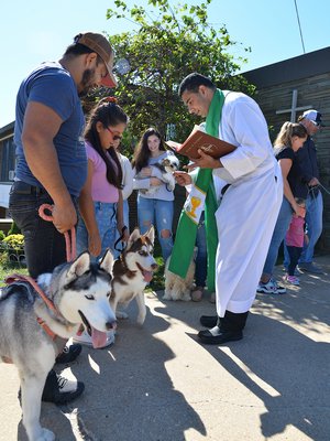Father Ciya Thomas of St. Therese Church in Montauk, officiated at a Blessing of the Animals, after services Sunday.  KYRIL BROMLEY