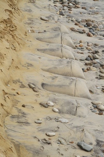  the first time they've been uncovered by erosion during the summer. Michael Wright