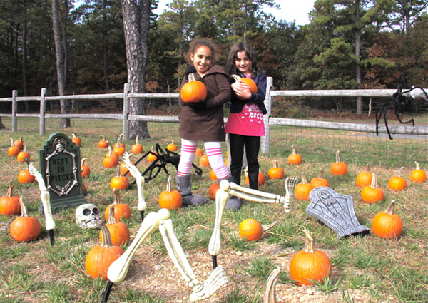 Ariel Meltzer and Mary McCann select their pumpkins. KYRIL BROMLEY