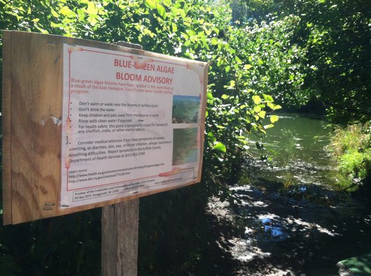 Signs were posted last year at Georgica Pond. LAURA WEIR