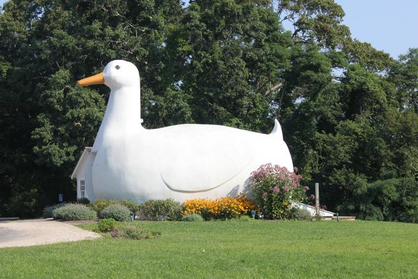 A rubber duck race on August 24 will benefit the Big Duck in Flanders. BY CAROL MORAN