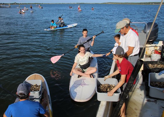 000 oysters in the waters of Three Mile harbor on Tuesday. Paddle Diva supplied paddleboards for the students