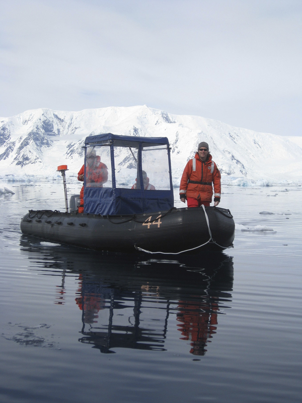 A seal rests in Antarctica.