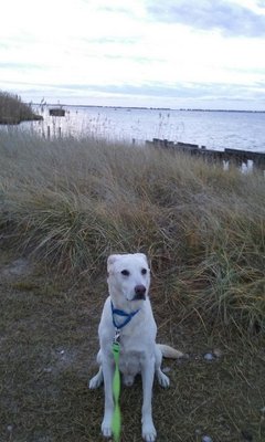  November 29. From back left: Molly