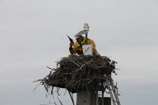  and Dell Cullum clean the nest. KYRIL BROMLEY