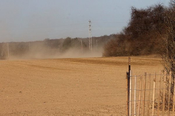The airborne top-soil dust at the farm in Amagansett.  KYRIL BROMLEY