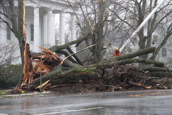 Crews work to clear a large tree that snapped and fell across Main Street in East Hampton Village near the Presbyterian Church on Tuesday. The blizzard spared the East End but high winds and rain pounded the area.