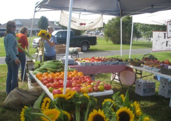 Balsam Farms stand
