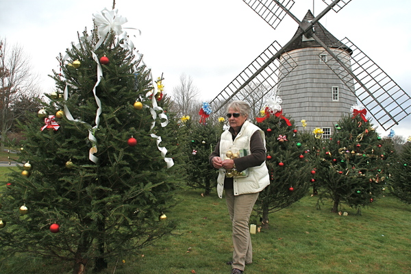 Ginny Rizzardi of Springs decorates the memorial trees at the Hook Mill in East hampton on Tuesday afternoon.    KYRIL BROMLEY