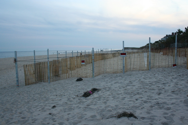 The fence in front of the Zweig residence at Georgica Beach on October 10. VIRGINIA GARRISON