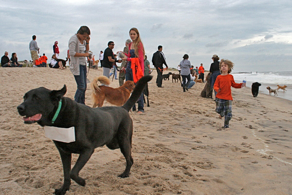 About 225 people and 150 dogs participated in this year's 