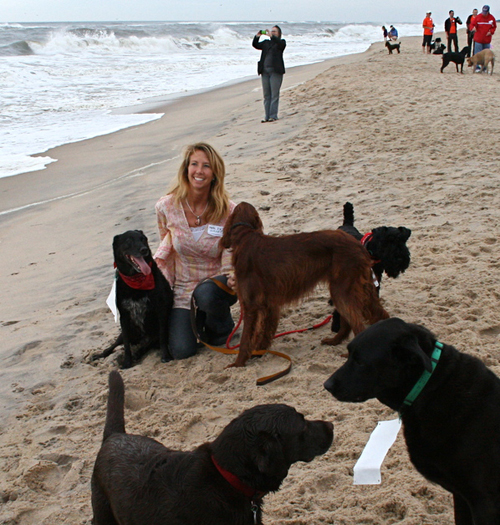 Dogs and their owners enjoyed the beach for about a half an 