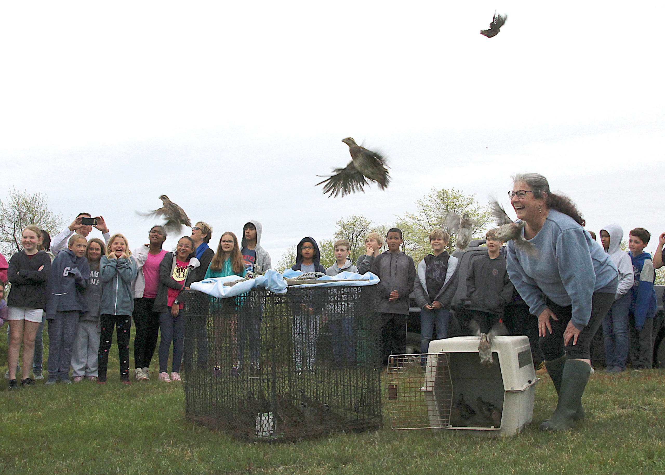 Fly Forth, Young Quail! 
May 29 -- Third House Nature Center hosted its first bobwhite quail release of the year in partnership with Montauk School science students.
