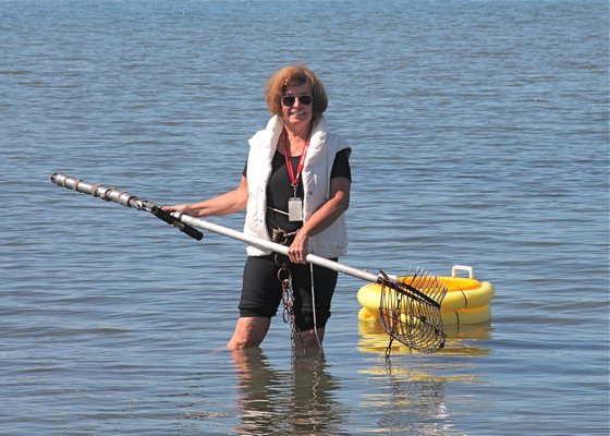 Linda Calder clamming in Accabonac Harbor on Monday. KYRIL BROMLEY