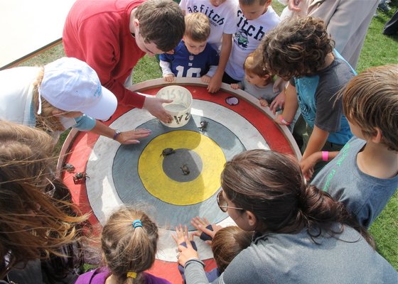 The crab races were a big hit at the FAll Festival in Montauk.