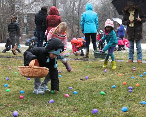 A group of hardy hunters turned out on a damp Saturday morning with sprinkles of snow in the air for the Ladies Village Improvement Society of East Hampton annual Easter Egg Hunt. KYRIL BROMLEY