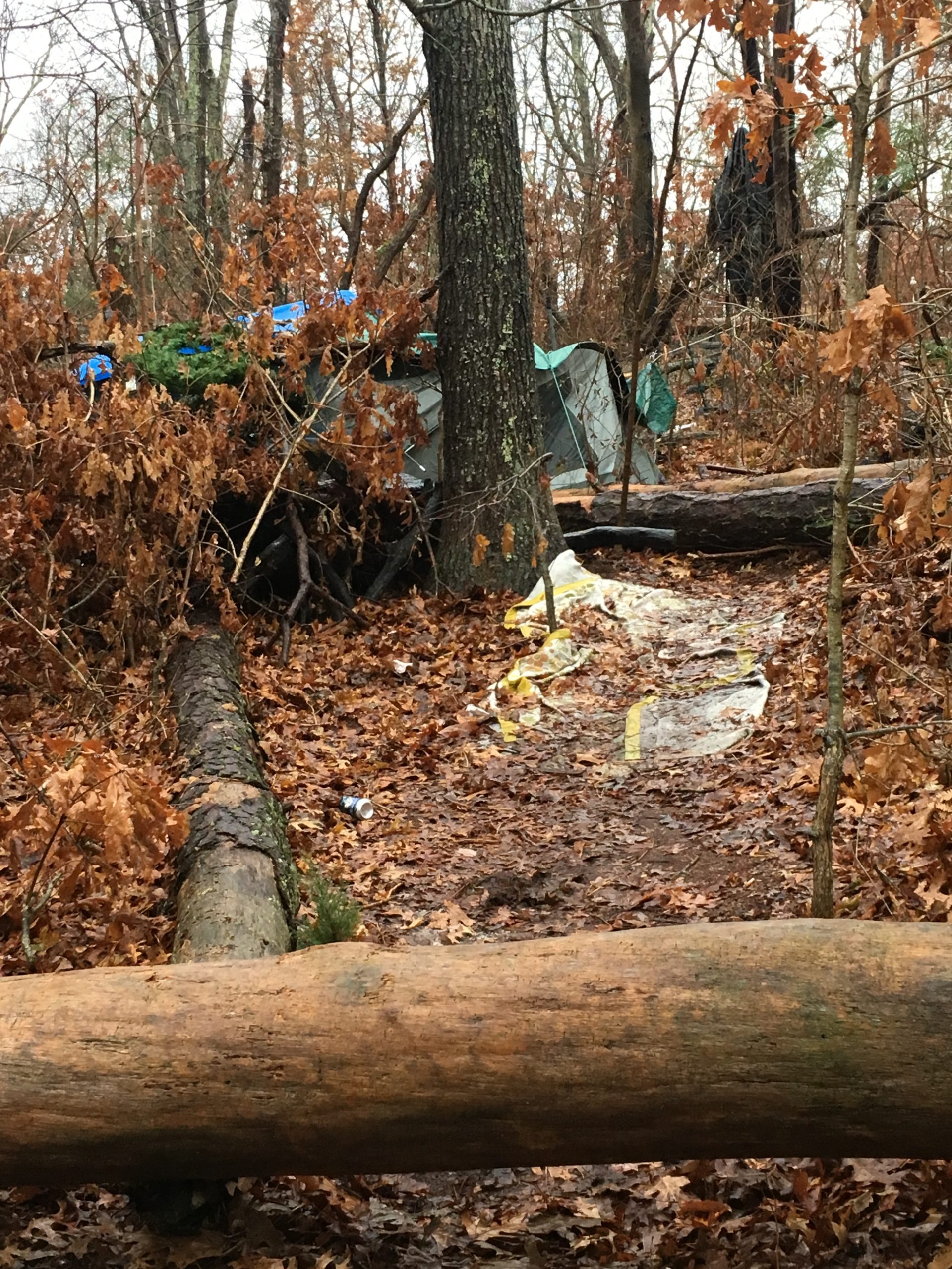 Garbage, beer cans, and empty bottles lead the way, like breadcrumbs, to a shelter crafted from tarps in the woods in Hampton Bays. 