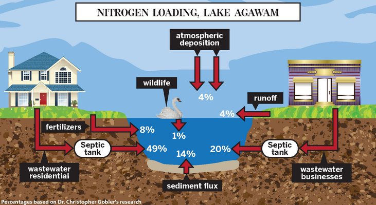 Nitrogen Loading In Lake Agawam
