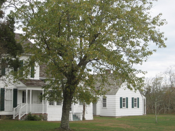 Some outbuildings adjoining the Black Duck Lodge were used to farm ducks.