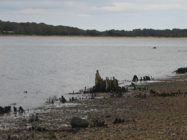 A family cemetery of Hubbard ancestors