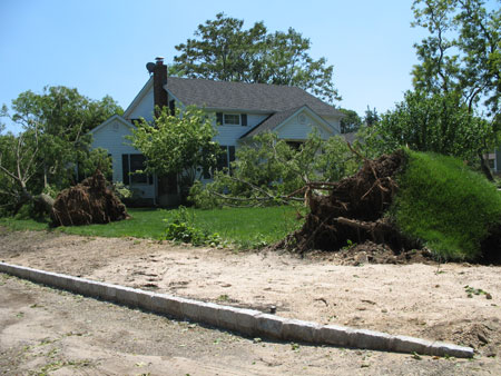 The lawn of an East Moriches home was ravaged by the storm.