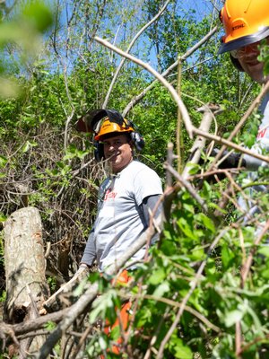  Team Rubicon's New York State Administrator cutting up invasive roots and plants.   ELIZABETH VESPE