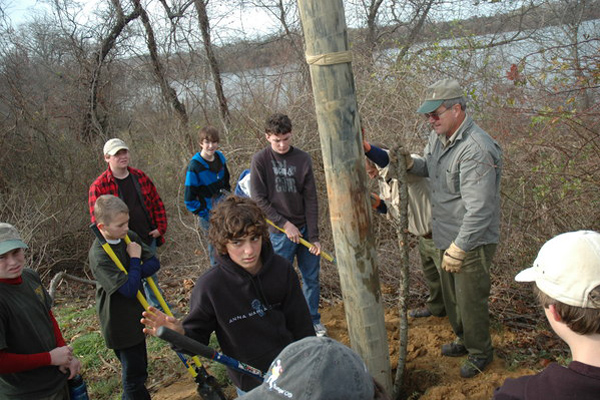 Scouts help tamp the pole into place.