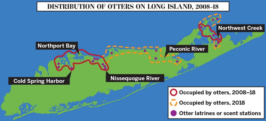 Map of the distribution of otters on Long Island from 2008-2018. MICHAEL PINTAURO