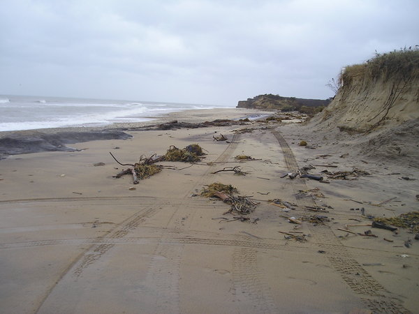 Ditch Plains in Montauk on Thursday. VIRGINIA GARRISON