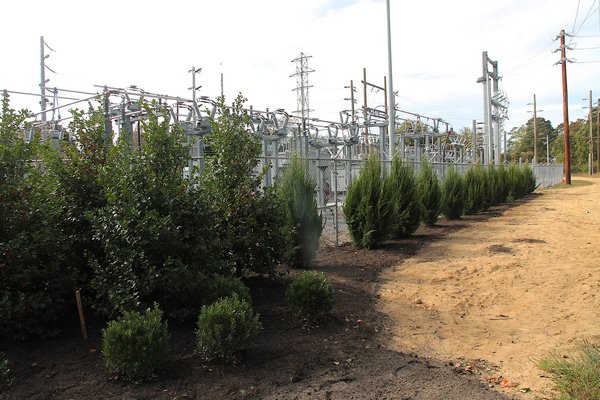 Plantings have gone up around the PSEG substation in Amagansett. KYRIL BROMLEY