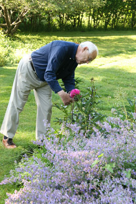 Mr. Kahn tends to some garden chores.