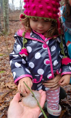 Scarlett Clanahan gets a close look at Spotted Salamander eggs. MIKE BOTTINI
