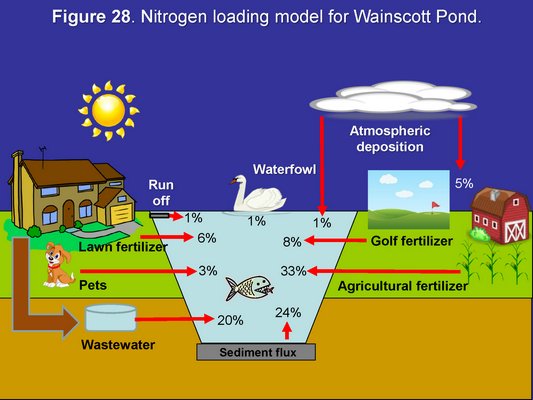 The variety of sources of nitrogen in the waters of Wainscott Pond. Simon Kinsella