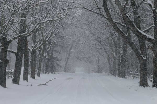 Snow falls on Alden Lane on Quiogue on Monday afternoon. KYL