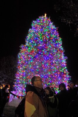 The tree is lit in Agawam Park.