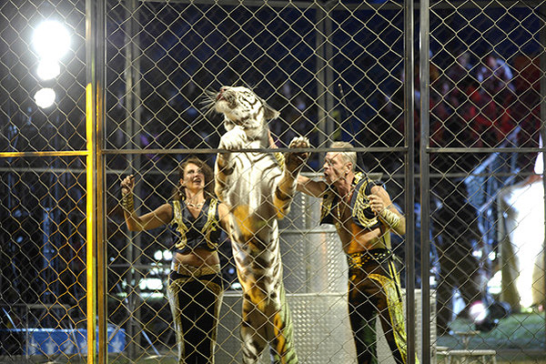 Judit and Jurgen Nerger perform with their Bengal tigers on Monday night.  DANA SHAW