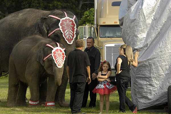The elephants and performers before they go on at the Cole Brothers Circus on Monday evening.  DANA SHAW