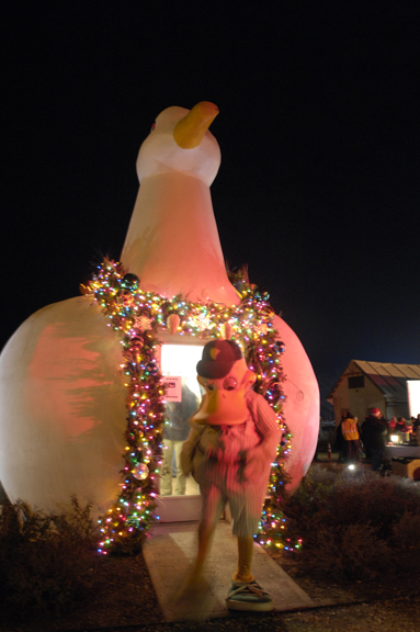 Long Island Ducks mascot Quacker Jack.    DANA SHAW
