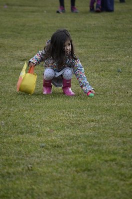 Five-year-old Jeremy Counihan at the annual Southampton Village PBA Easter Egg Hunt in Agawam Park on Friday. BY ERIN MCKINLEY
