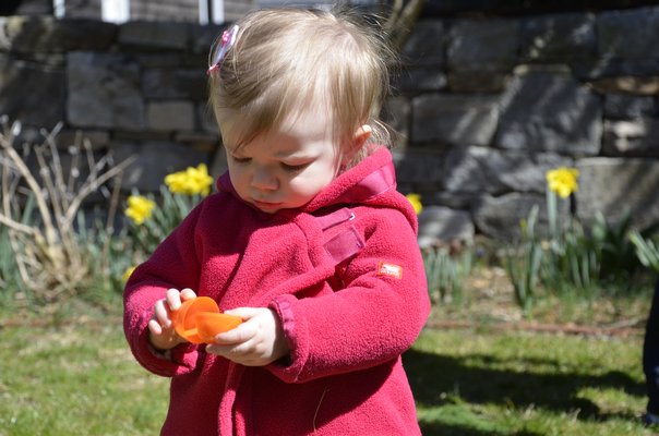 Maeve Tupper examines an egg she picked up at the LVIS Easter Egg Hunt on Saturday. SHAYE WEAVER