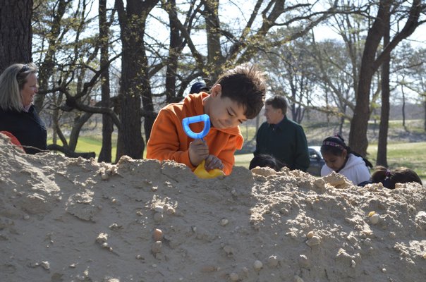 Tuckahoe first grader Jaiden collects sand to build his terrarium habitat at the Sebonack Golf Club on Monday. BY ERIN MCKINLEY